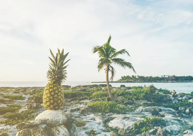 44439 Natur - Strand Puzzle