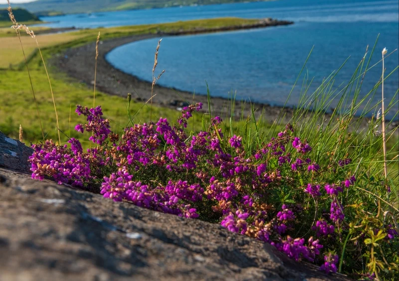 44618 Natur - Schottland Puzzle