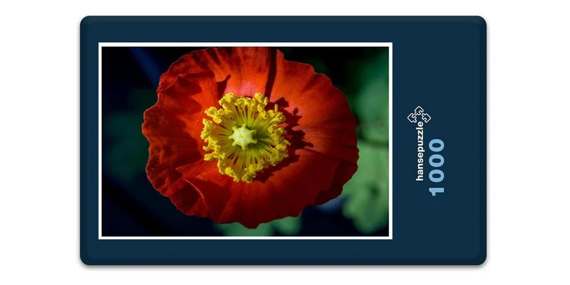 18340 Natur - Island-Mohn Puzzle