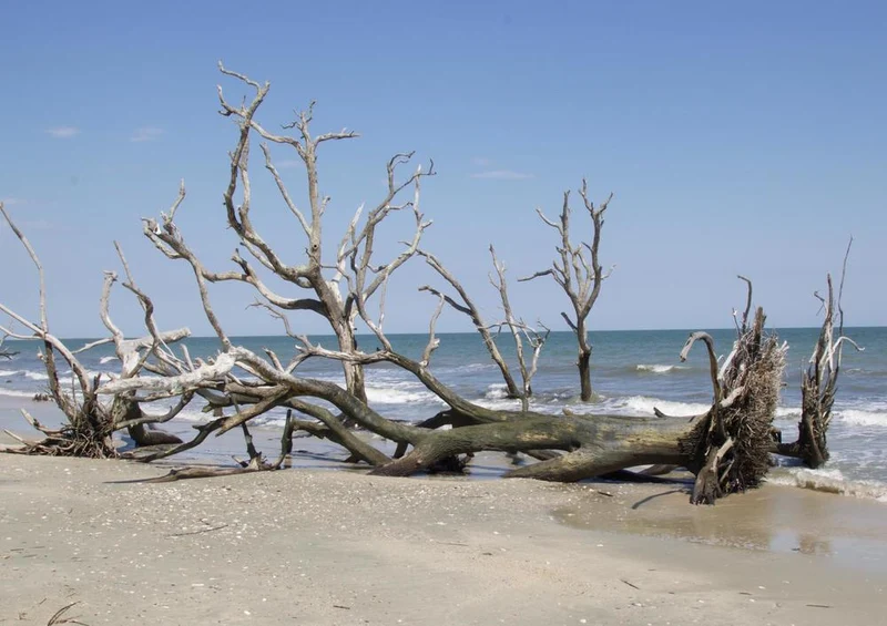 20459 Natur - Strand-Baum Puzzle