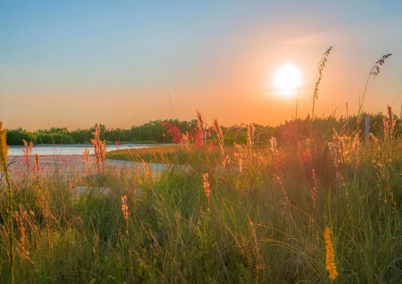 20648 Natur - Sommer-Wiese Puzzle