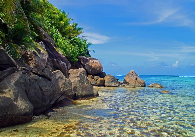 31194 Natur - Strand Puzzle