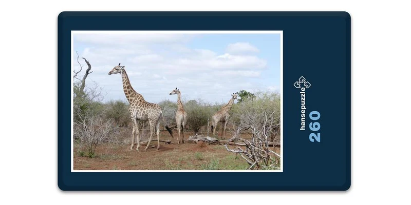 19995 Tierwelt - Auf Safari Puzzle