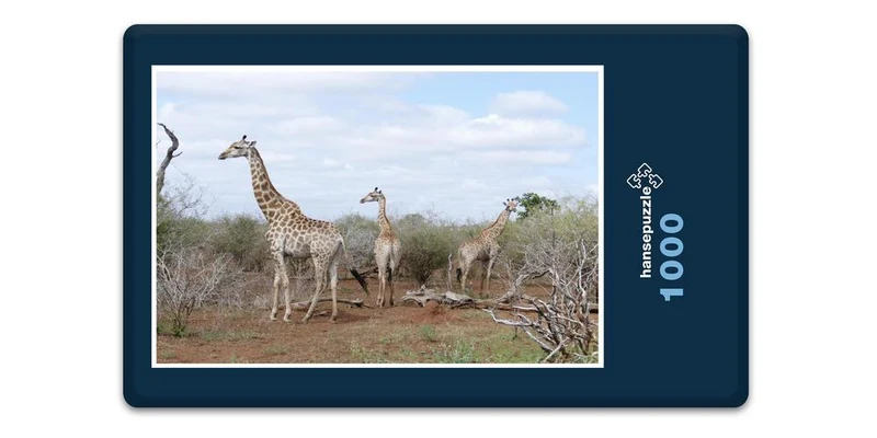 19995 Tierwelt - Auf Safari Puzzle