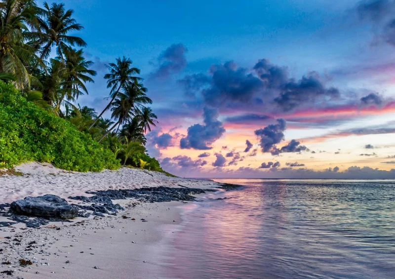 20449 Natur - Palmen-Strand Puzzle