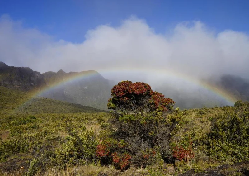 19875 Natur - Regenbogen Puzzle