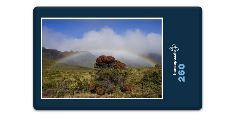 19875 Natur - Regenbogen Puzzle