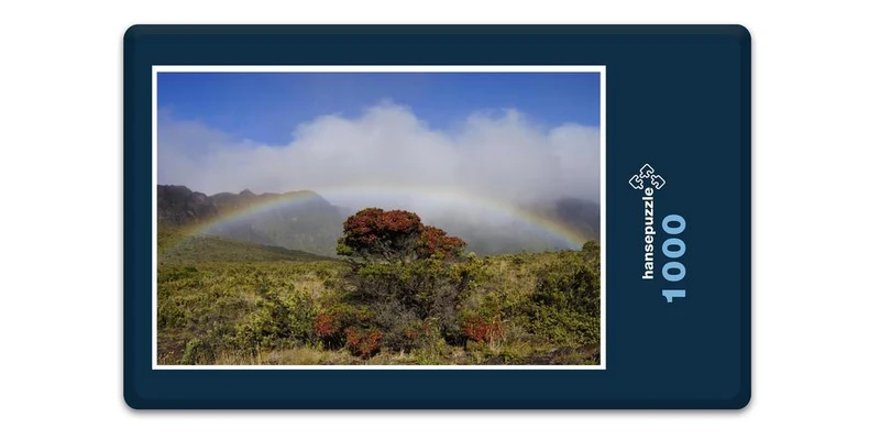 19875 Natur - Regenbogen Puzzle