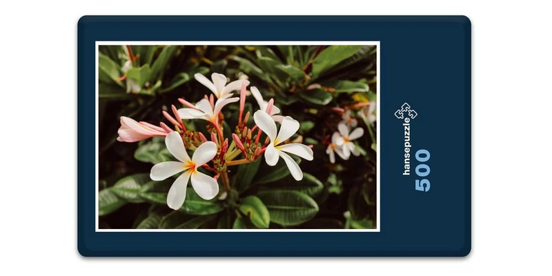 19870 Natur - Blüte Puzzle