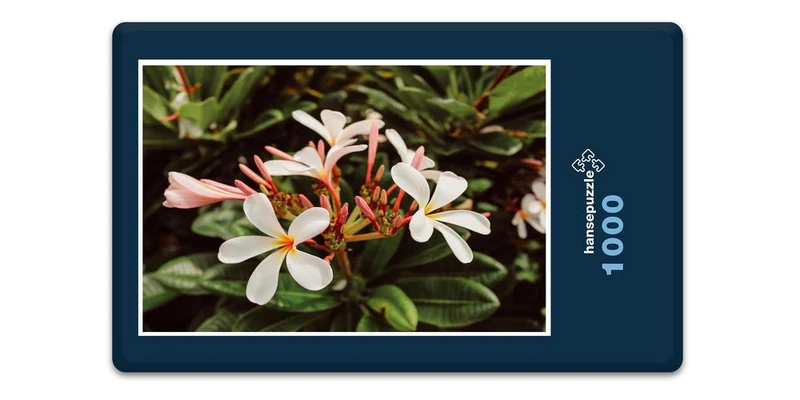 19870 Natur - Blüte Puzzle