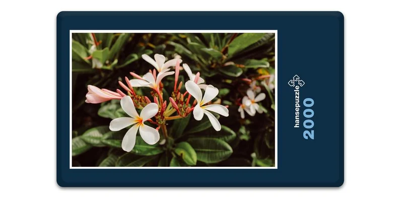 19870 Natur - Blüte Puzzle