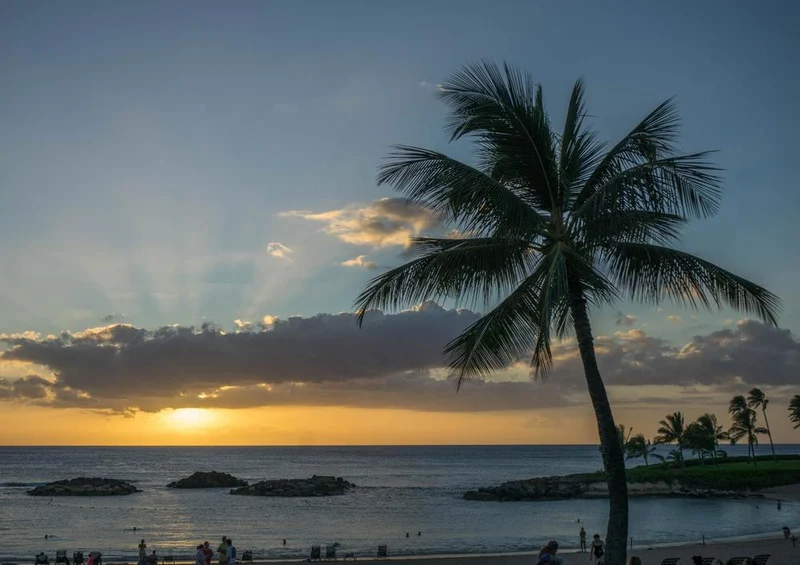 19865 Natur - Sonnenuntergang am Strand Puzzle