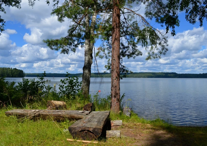 44434 Natur - See Puzzle