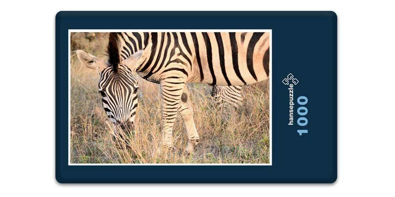 18318 Natur - Zebra Puzzle