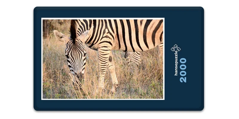 18318 Natur - Zebra Puzzle