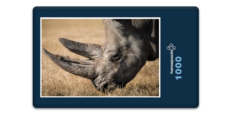 18317 Natur - Nashorn Puzzle