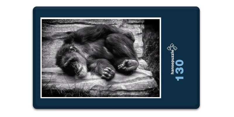18316 Natur - Affe Puzzle