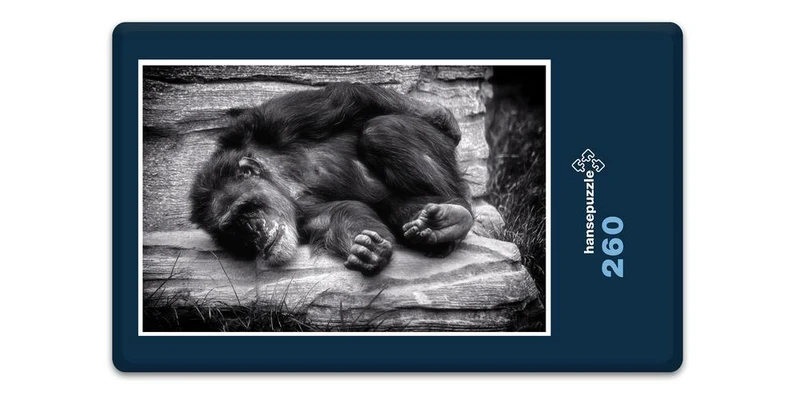 18316 Natur - Affe Puzzle