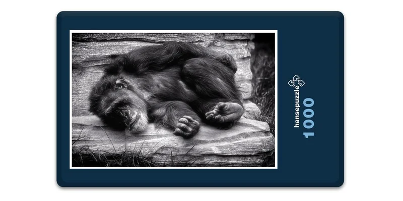 18316 Natur - Affe Puzzle