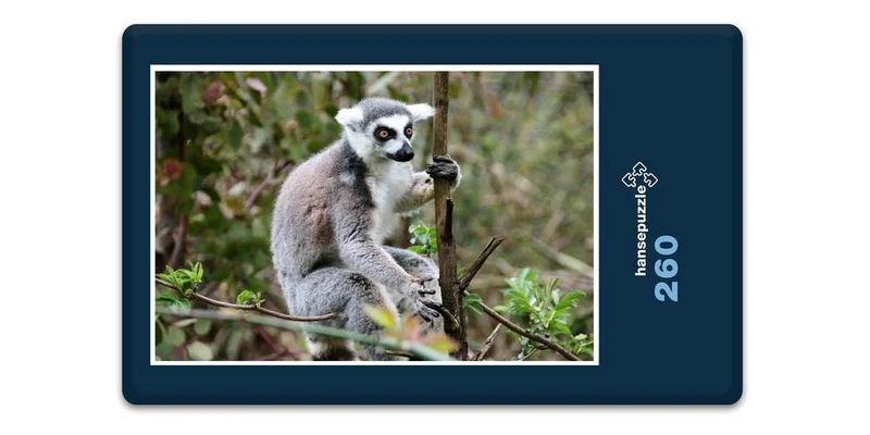18315 Natur - Affe Puzzle