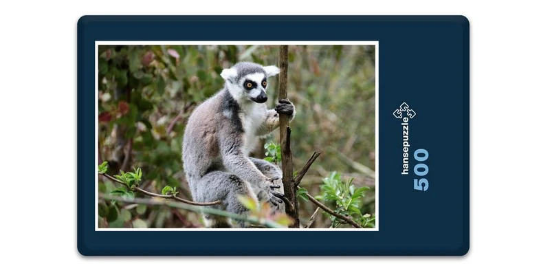 18315 Natur - Affe Puzzle