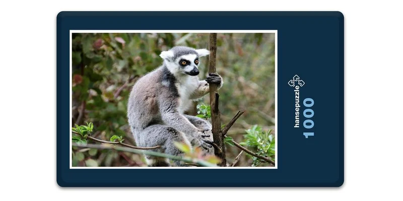 18315 Natur - Affe Puzzle