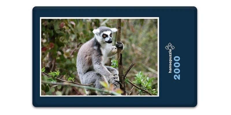 18315 Natur - Affe Puzzle