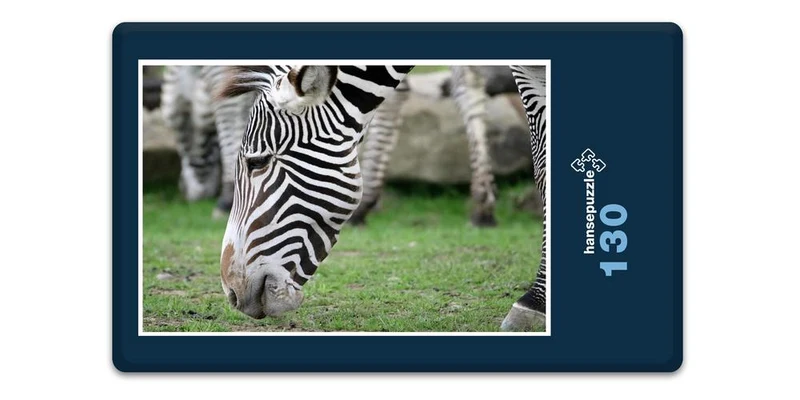 18313 Natur - Zebra Puzzle