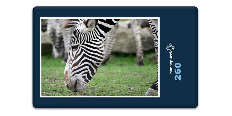 18313 Natur - Zebra Puzzle