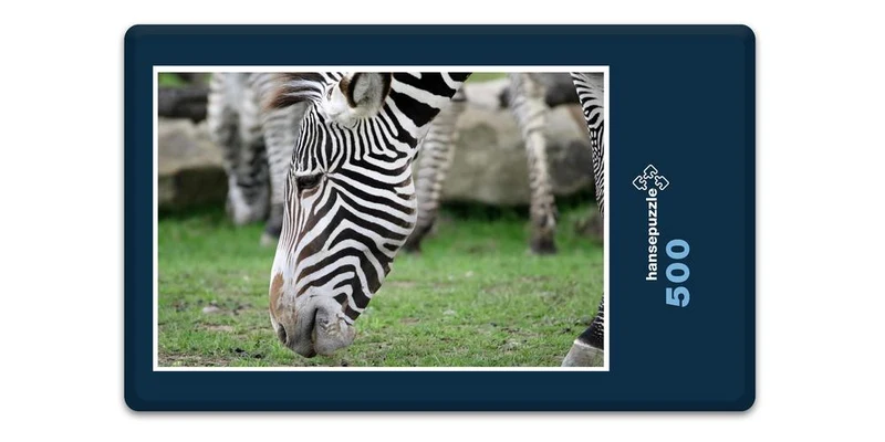 18313 Natur - Zebra Puzzle