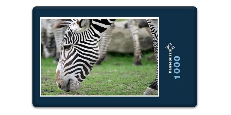 18313 Natur - Zebra Puzzle
