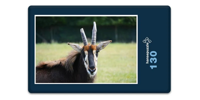 18310 Natur - Antilope Puzzle