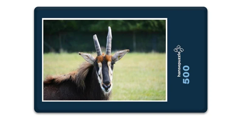 18310 Natur - Antilope Puzzle