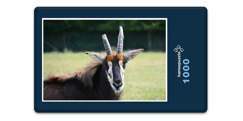 18310 Natur - Antilope Puzzle