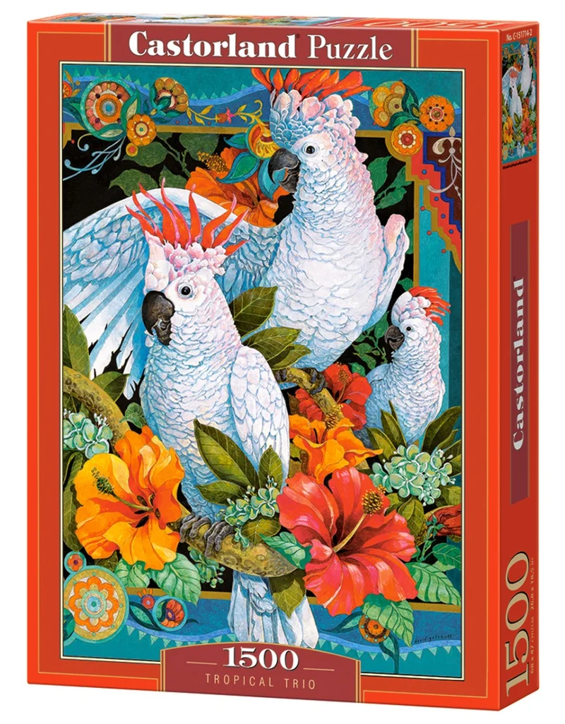 Tropical Trio, David Galchutt