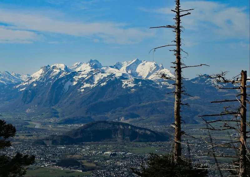20173 Natur - Hohenems Puzzle