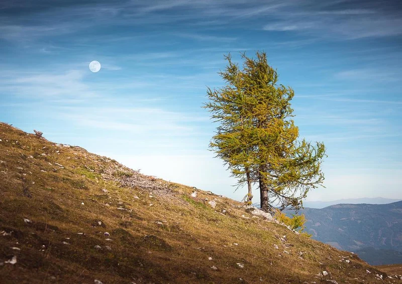 20162 Natur - Berglandschaft Puzzle