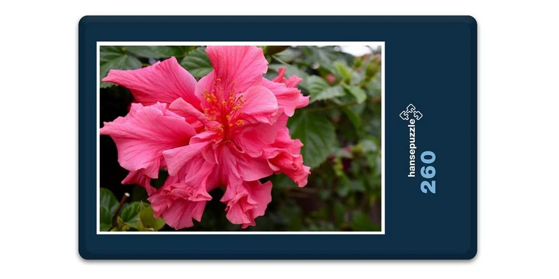19860 Natur - Hibiskus Puzzle