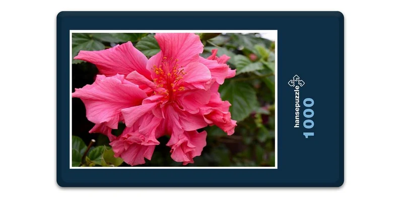 19860 Natur - Hibiskus Puzzle