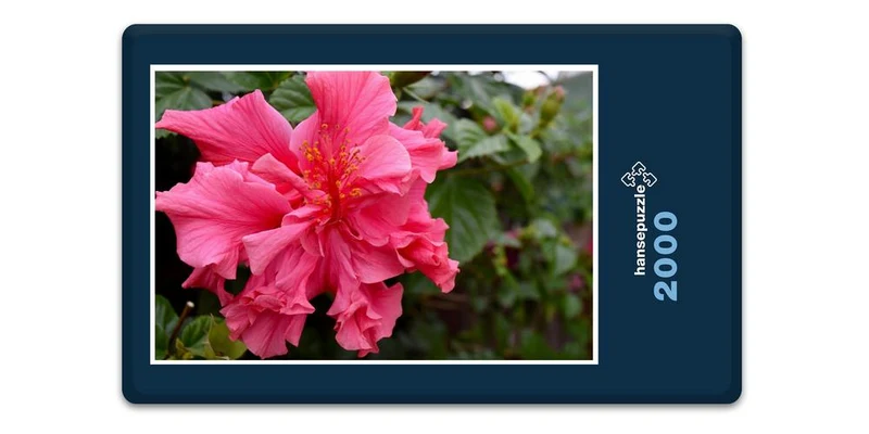 19860 Natur - Hibiskus Puzzle
