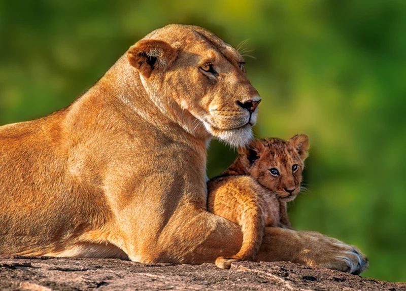 Mom and Me