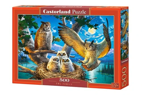 Owl Family