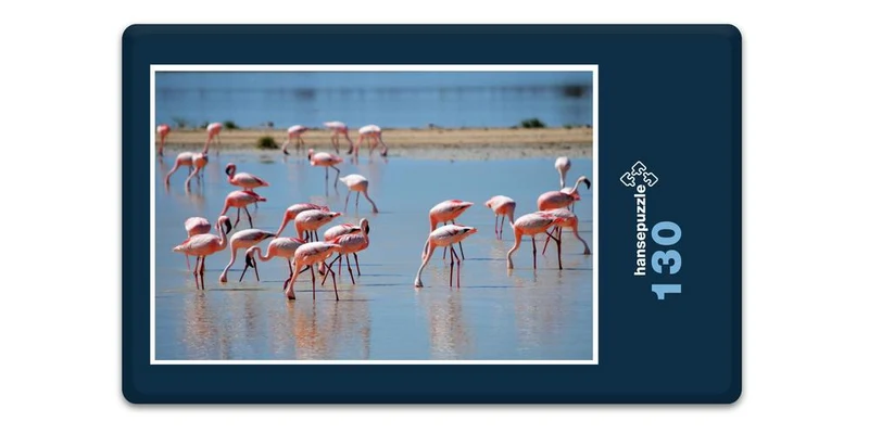 18306 Natur - Flamingos Puzzle