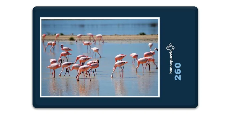 18306 Natur - Flamingos Puzzle