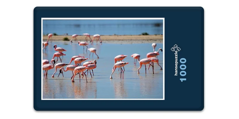 18306 Natur - Flamingos Puzzle