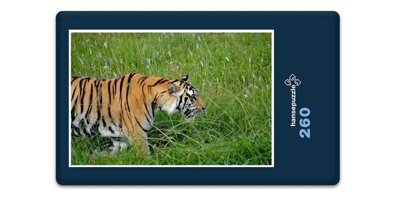 18305 Natur - Wildkatze Puzzle