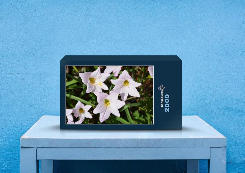 20037 Natur - Blüte Puzzle
