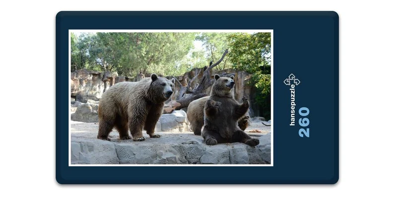 18303 Natur - Bären Puzzle