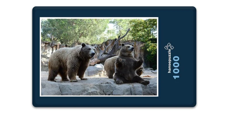 18303 Natur - Bären Puzzle