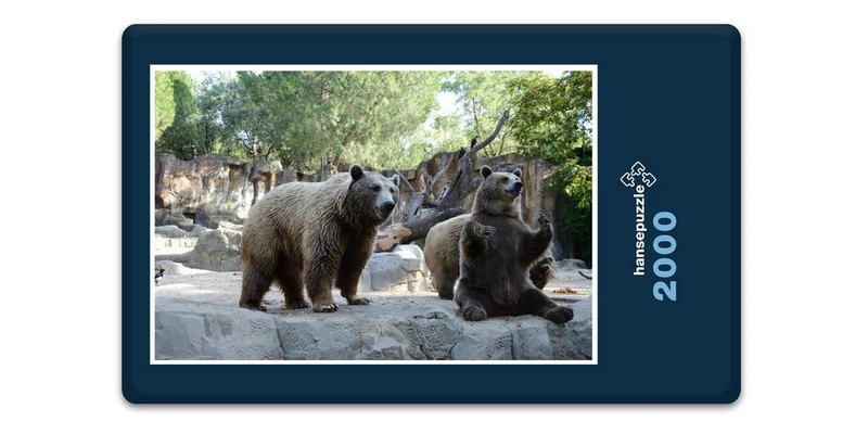 18303 Natur - Bären Puzzle